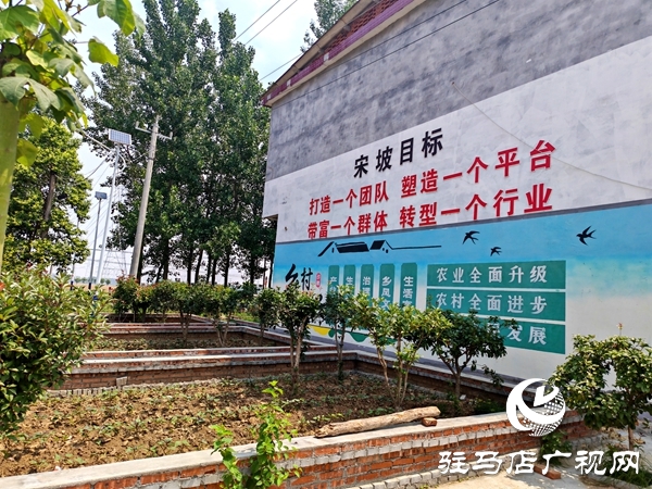 文明鄉(xiāng)風(fēng)潤沃土——平輿縣辛店鄉(xiāng)韓坡村獲評第七屆全國文明村鎮(zhèn)紀實