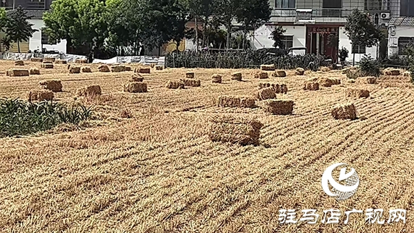 平輿縣東皇街道：變廢為寶 讓秸稈從“包袱”變“財富”