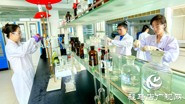 科技創(chuàng)新領(lǐng)航 政策賦能護航 駿化發(fā)展書寫高質(zhì)量發(fā)展新答卷