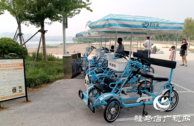 駐馬店人民公園禁騎電動車屢遭破防 管理方呼吁共建安全步行空間