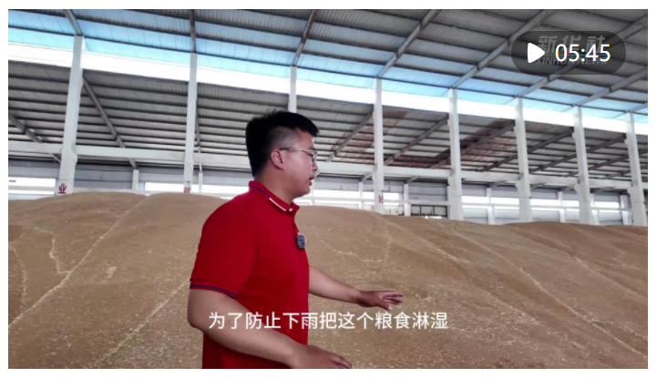 這群大學(xué)生通過“種養(yǎng)循環(huán)”助力小麥質(zhì)“升”量“高”