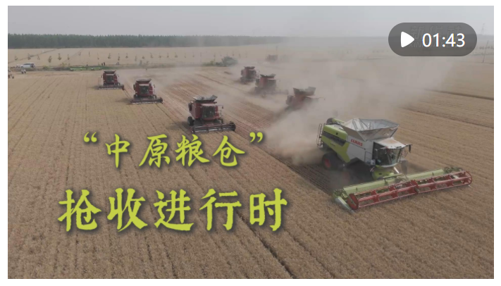 新華全媒+｜“中原糧倉”搶收進行時