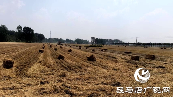 平輿縣辛店鄉(xiāng)上下齊心協(xié)力打出一套秸稈打捆“組合拳”