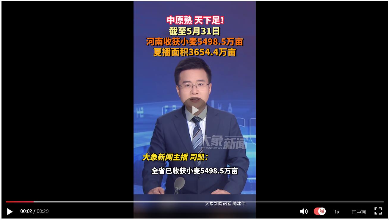 中原熟，天下足！河南已收獲小麥5498.5萬畝