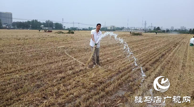  西平縣柏城街道：積極抗旱保墑 筑牢秋糧豐收根基