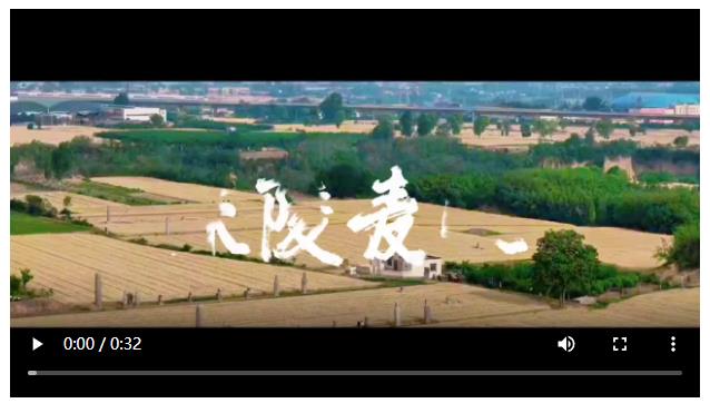 Z特寫(xiě) | 宋陵麥?zhǔn)? width=