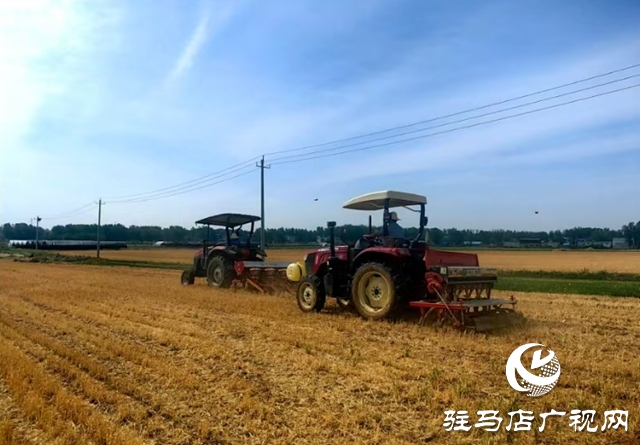 泌陽(yáng)縣郭集鎮(zhèn)：積極推廣大豆玉米帶狀種植 助力農(nóng)業(yè)增效農(nóng)民增收