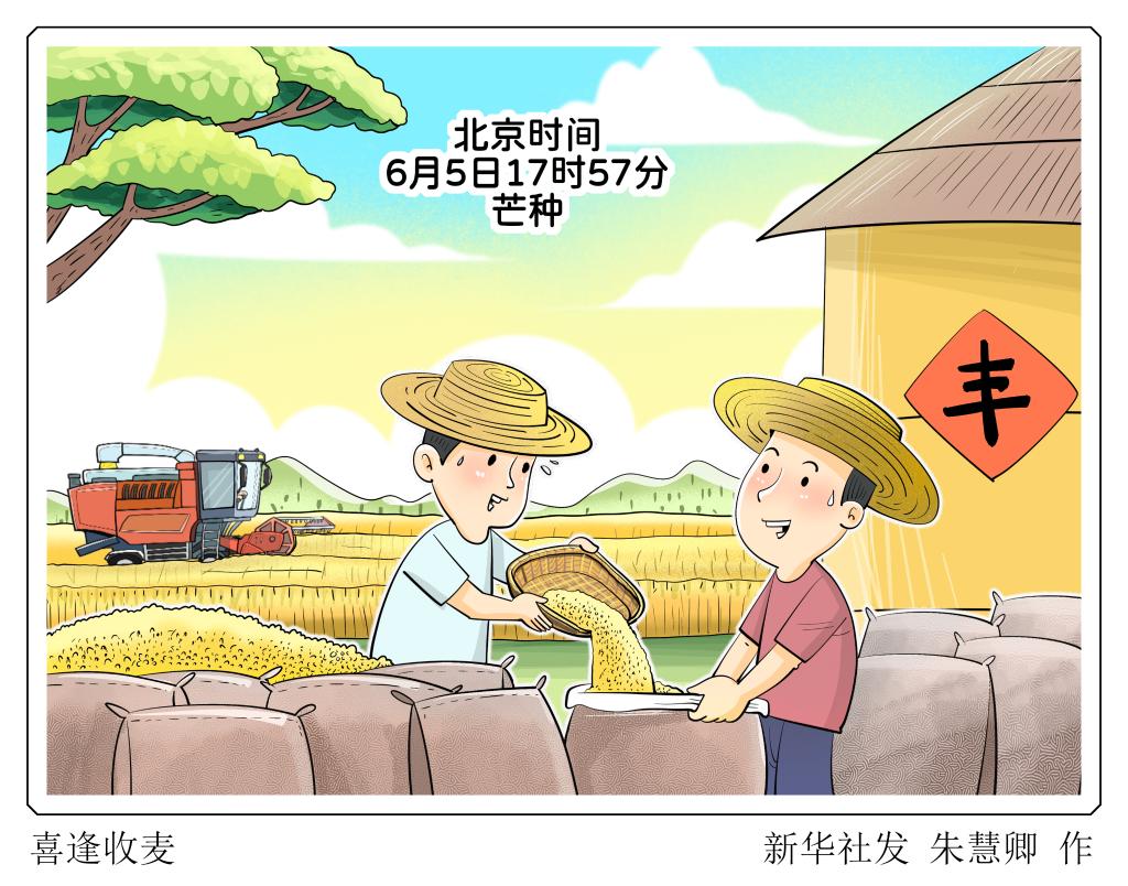 芒種時(shí)節(jié)多濕熱 健脾祛濕清心火
