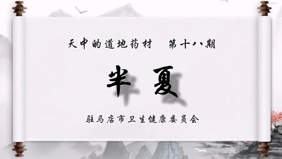 天中的道地藥材——半夏