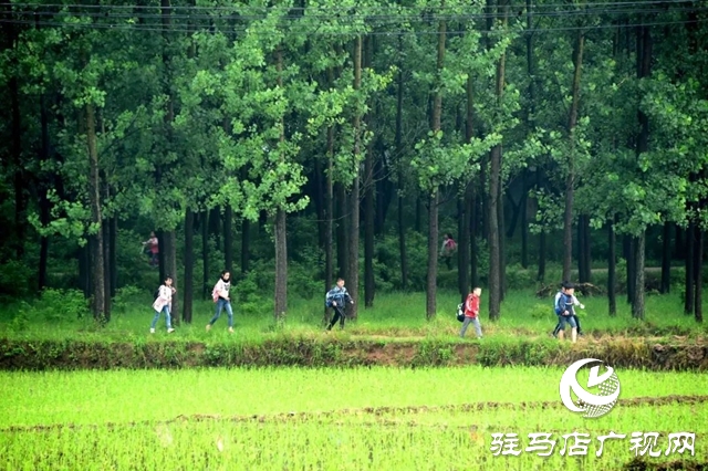 河南泌陽：雨潤缸窯 水墨村居