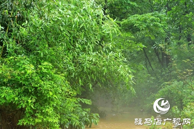 河南泌陽：雨潤缸窯 水墨村居