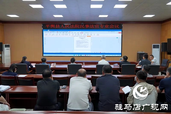 平輿縣人民法院：以案為鑒“深剖析” 對(duì)“癥”施策提質(zhì)效