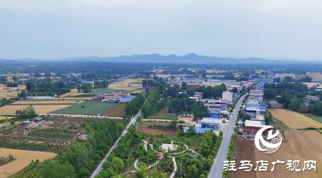 泌陽(yáng)縣盤古鄉(xiāng)：特色種養(yǎng)繪就鄉(xiāng)村振興新圖景