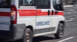 戶外小心蛇出沒！被毒蛇咬傷怎么辦？