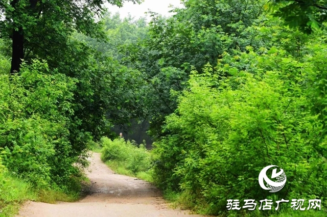 河南泌陽：雨潤缸窯 水墨村居