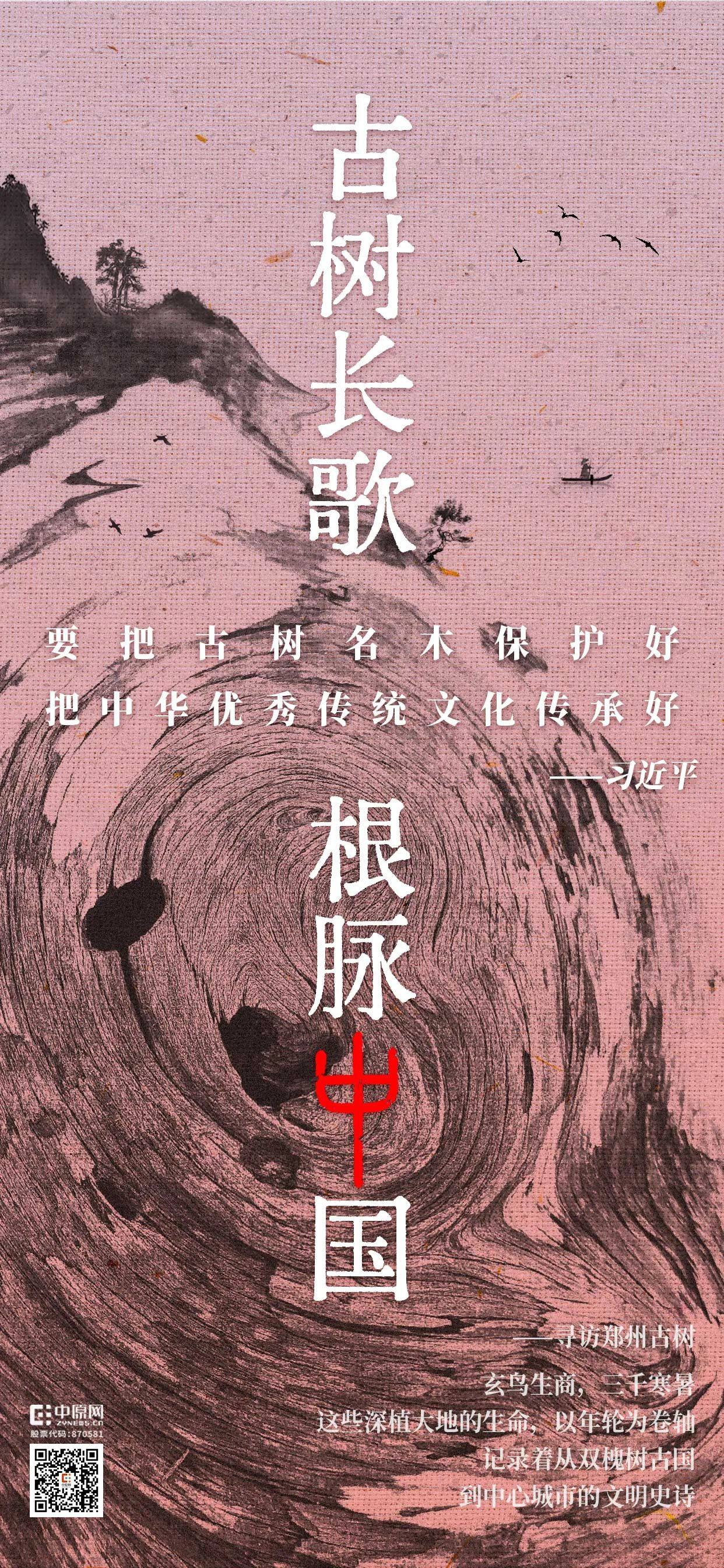 把古樹唱成歌，“古樹長歌”策劃引發(fā)“薦樹”熱潮