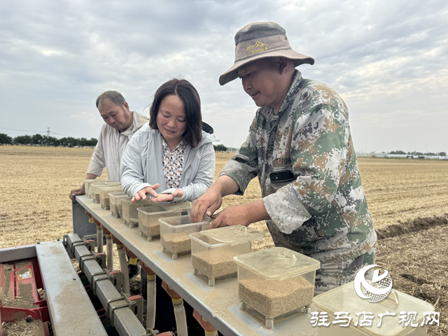 駐馬店驛城區(qū)：新農(nóng)機新模式繪就夏種新圖景 搶墑播種全力沖刺秋糧豐收