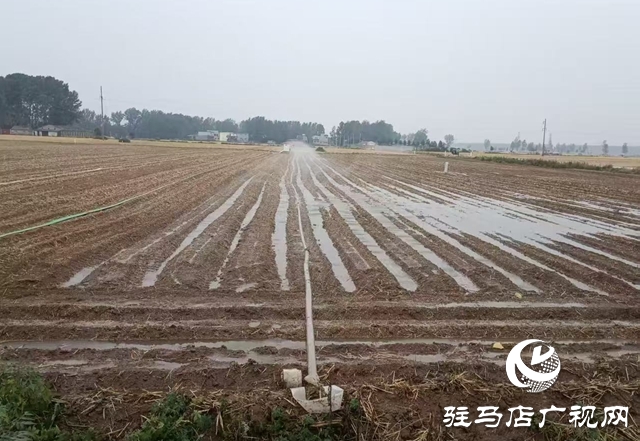  戰(zhàn)高溫保三夏：西平縣柏城街道積極行動(dòng)