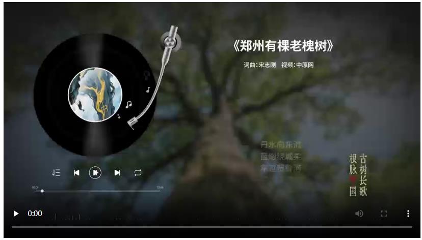 把古樹唱成歌，“古樹長歌”策劃引發(fā)“薦樹”熱潮