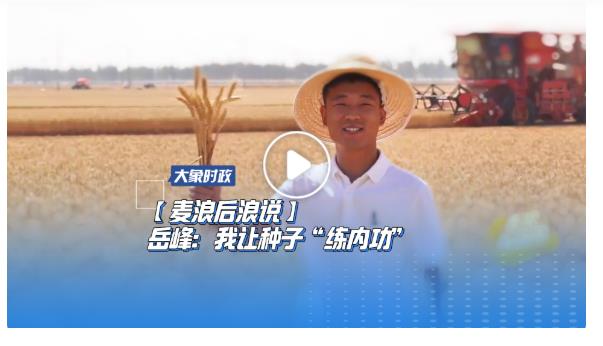 【麥浪后浪說】岳峰：我讓種子“練內功”