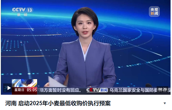 河南 啟動(dòng)2025年小麥最低收購(gòu)價(jià)執(zhí)行預(yù)案