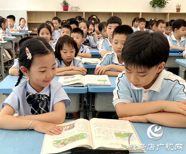 幼小攜手共成長 科學(xué)銜接零距離