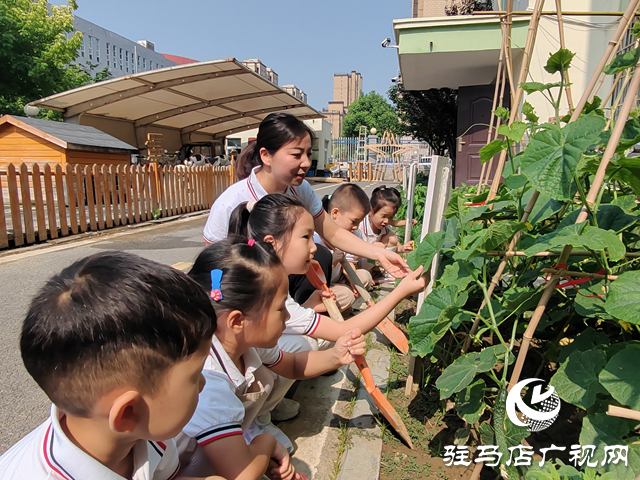 “育”見(jiàn)未來(lái)·名師風(fēng)采丨耿顯秋：以愛(ài)為舟 載夢(mèng)童行