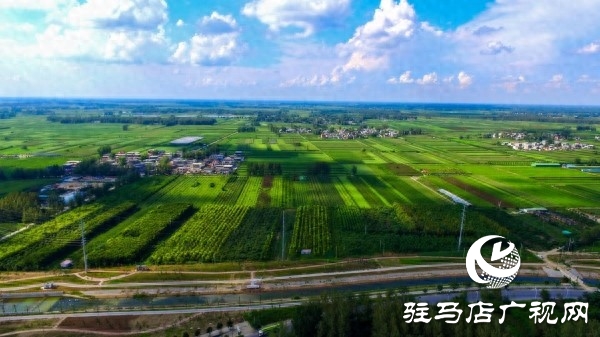 “全國文明城市”平輿縣以創(chuàng)新實(shí)踐書寫文明答卷