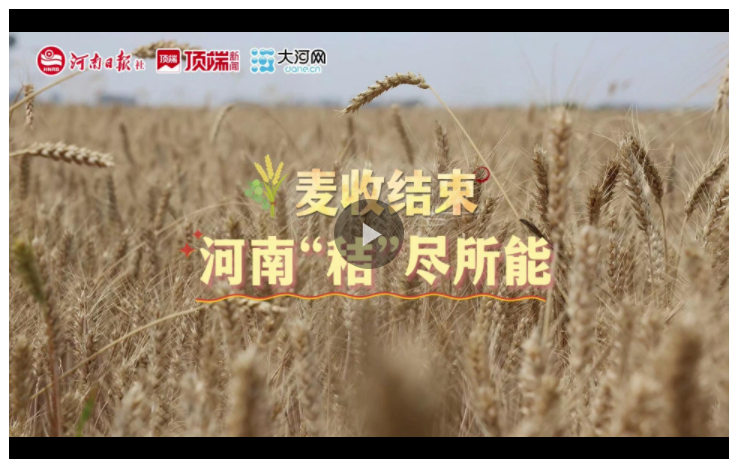 河南麥?zhǔn)战Y(jié)束，如何“秸”盡所能？
