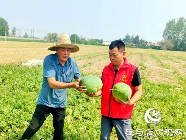 情系瓜農(nóng)解急難 愛心助銷人心暖