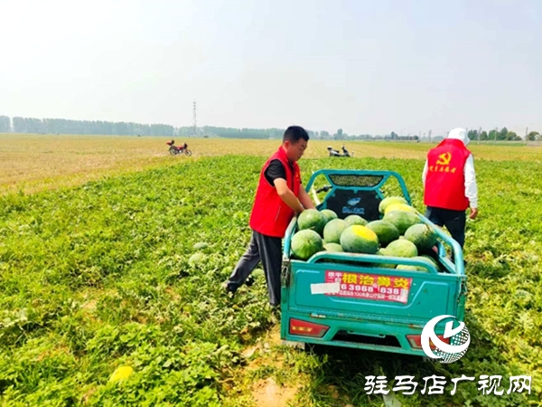 情系瓜農(nóng)解急難 愛心助銷人心暖