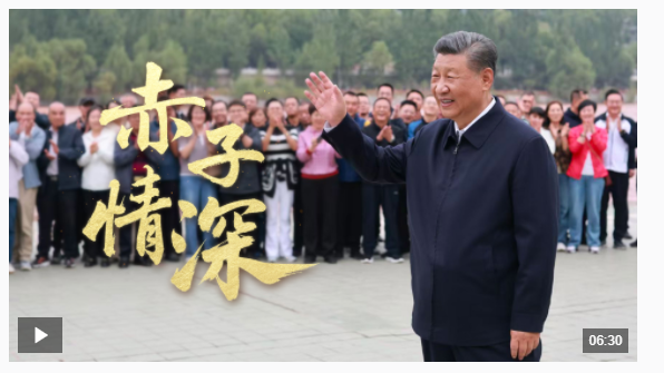 時政微視頻丨赤子情深
