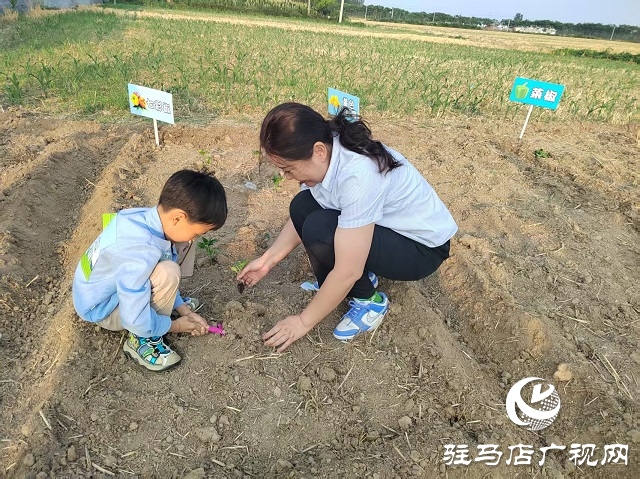 中國(guó)人壽財(cái)險(xiǎn)駐馬店公司:耕種希望土地  收獲保險(xiǎn)情誼