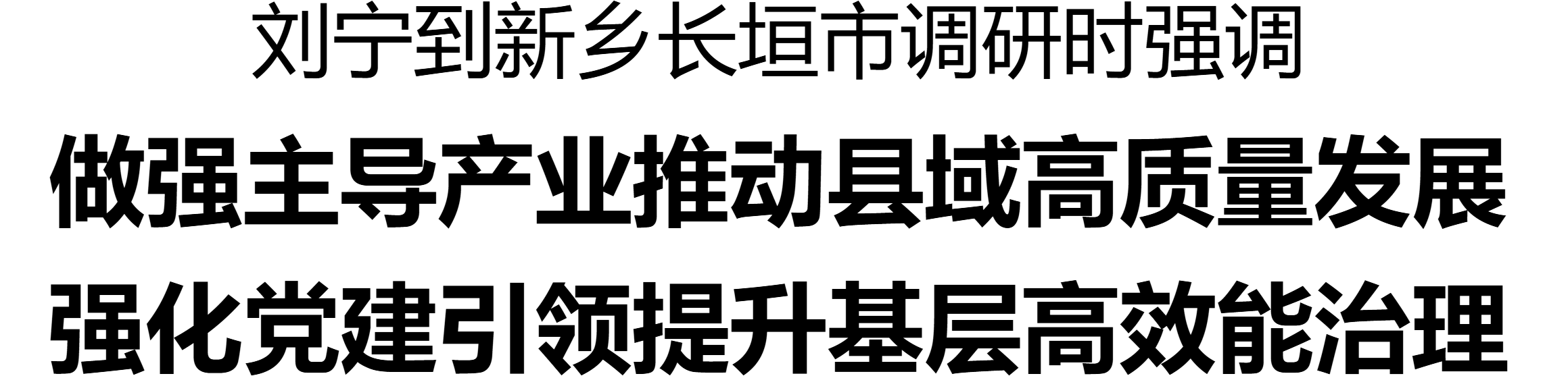 劉寧到新鄉(xiāng)長垣市調(diào)研產(chǎn)業(yè)發(fā)展、基層治理等工作