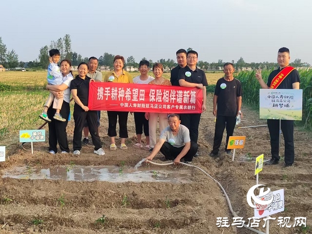 中國(guó)人壽財(cái)險(xiǎn)駐馬店公司:耕種希望土地  收獲保險(xiǎn)情誼