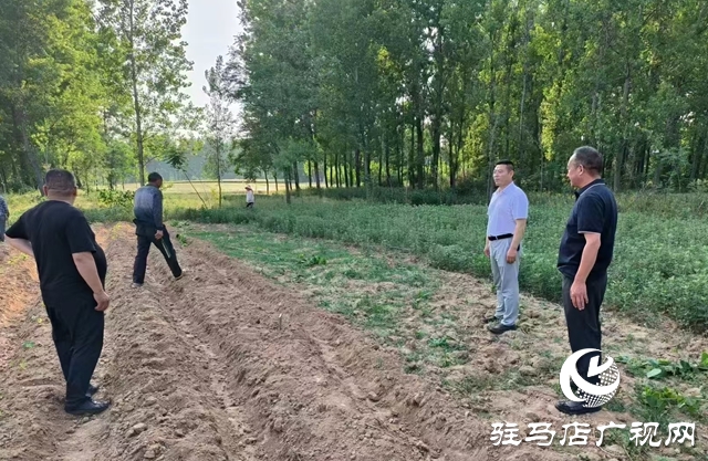 泌陽(yáng)縣黃山口鄉(xiāng)：村村聽到禁毒聲 戶戶知曉禁種令