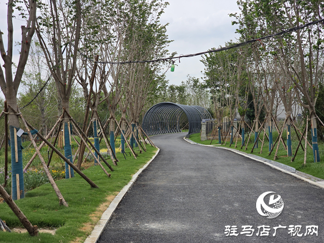 駐馬店植物園夏日煥新 文明游園宣傳先行