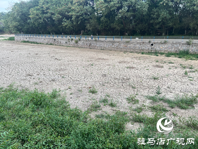 駐馬店市南海公園湖水干涸見(jiàn)底 記者實(shí)地探訪