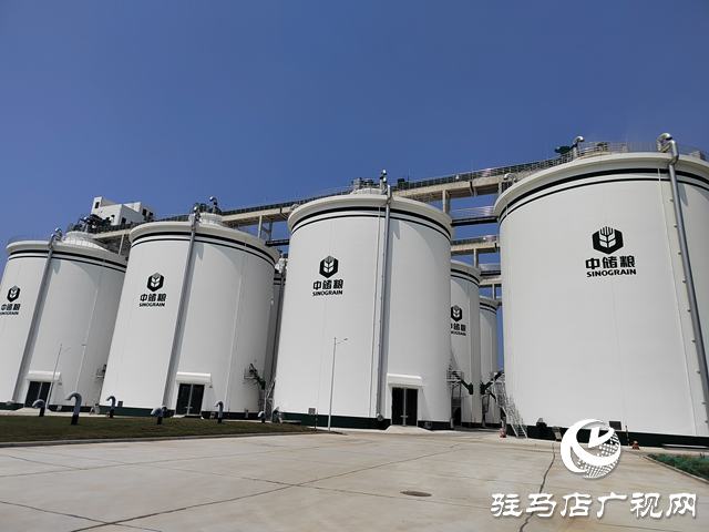 中央儲備糧駐馬店直屬庫：全力以赴打贏夏糧收購攻堅戰(zhàn) 讓每粒麥子安心入倉