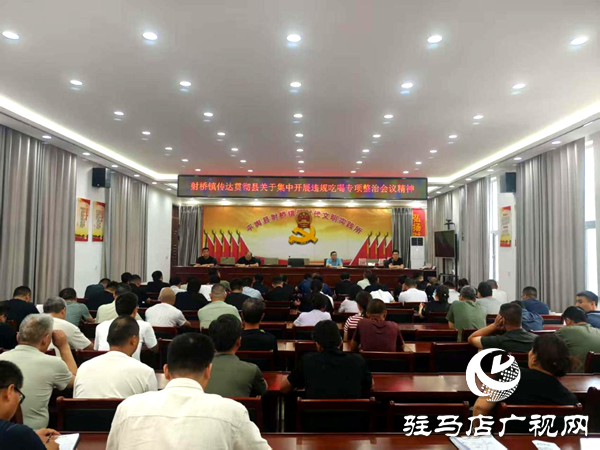 平輿縣射橋鎮(zhèn)：傳達(dá)貫徹縣關(guān)于集中開展違規(guī)吃喝專項(xiàng)整治會(huì)議精神