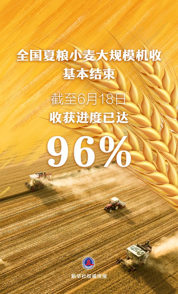 全國夏糧小麥大規(guī)模機收基本結束