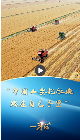 一習(xí)話｜“中國人要把飯碗端在自己手里”