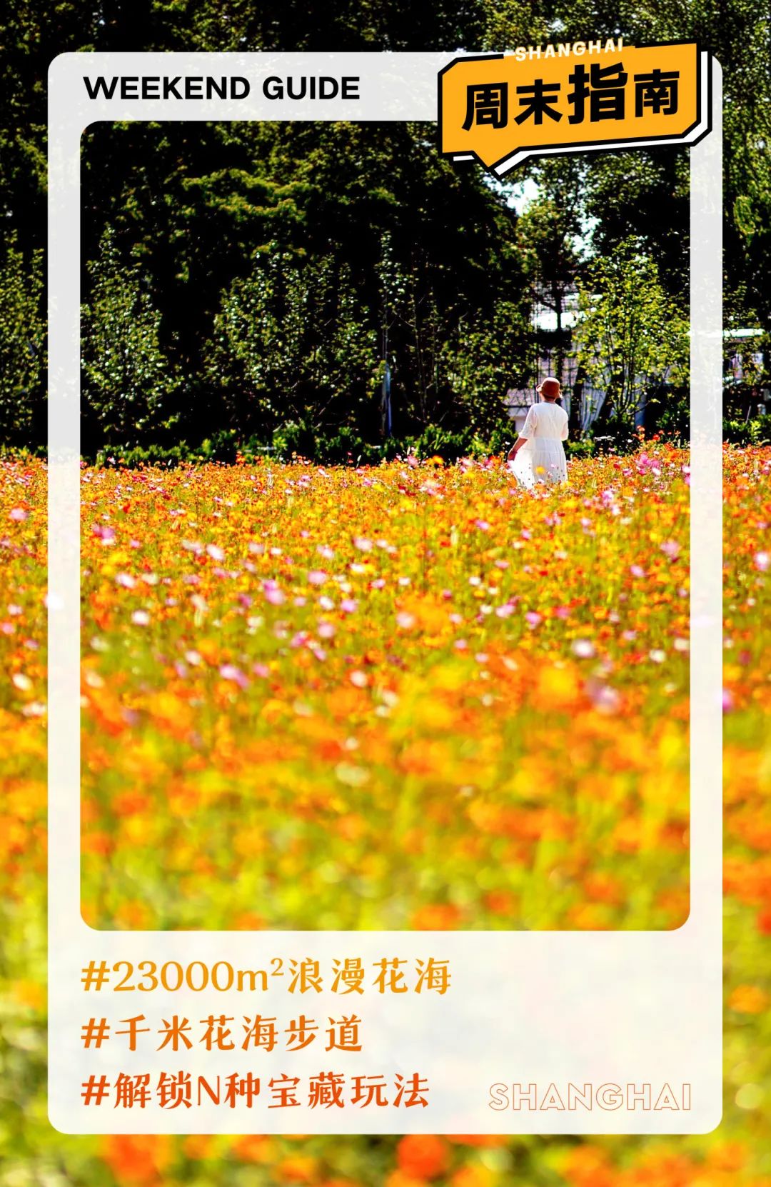 闖入夏日童話！上海近郊竟然有片23000㎡免費(fèi)浪漫花?！? /></p>
<p style=