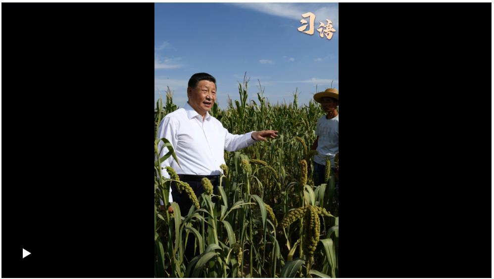 習(xí)語丨“中國人要把飯碗端在自己手里”