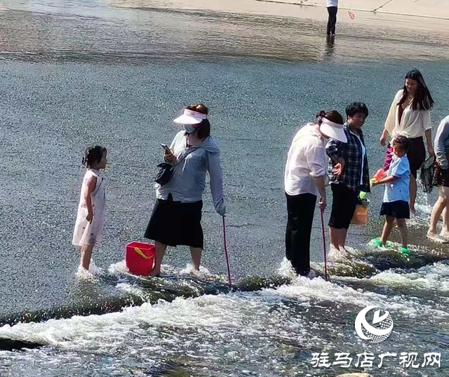 練江河壩下玩水隱患大 呼吁市民不要涉水