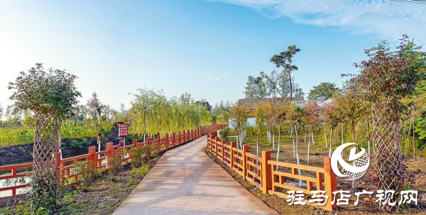 正陽新彭橋鄉(xiāng)大劉村：生態(tài)文明建設(shè) 構(gòu)筑美麗鄉(xiāng)村