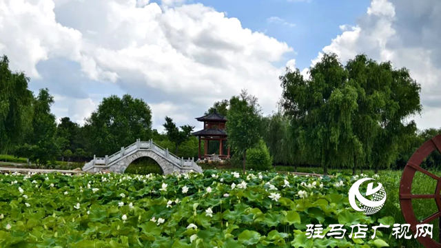 【大美天中】泌陽現(xiàn)&ldquo;水晶天&rdquo;！漢風(fēng)古韻與湖光云影同框