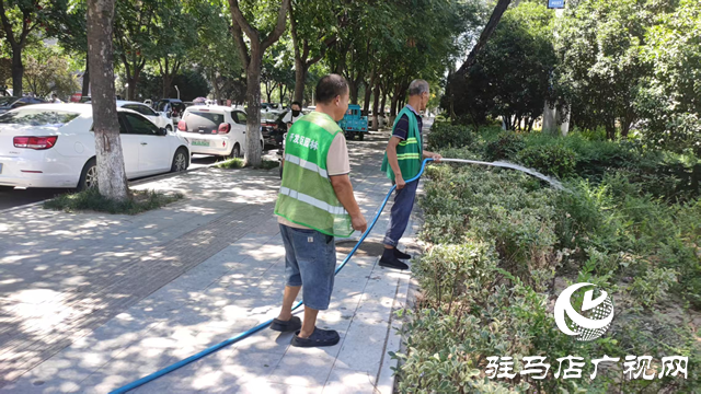  開發(fā)區(qū)城市管理局：全力打好“戰(zhàn)高溫 保綠蔭”攻堅戰(zhàn) 守護(hù)城市綠色風(fēng)景線