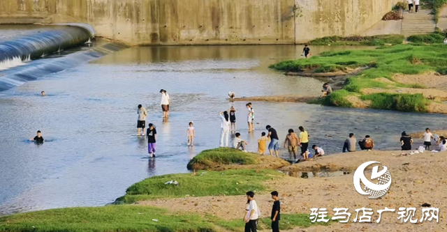 【大美天中】不輸遠(yuǎn)方 泌陽濕地公園成“家門口的阿勒泰”