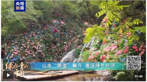 綠水青山的中國丨萬鷺舞云端！河南欒川的生態(tài)蝶變